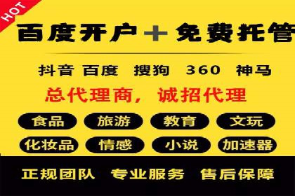 知名SEM公司案例分析：优化策略与成果